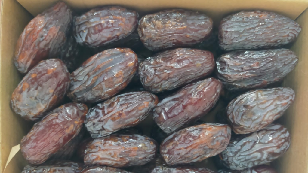 Premium Egyptian dates close-up showing natural texture and quality